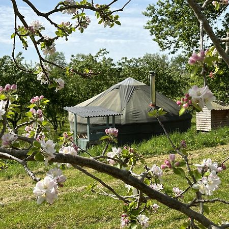 Dragon Orchard Retreat Villa Ledbury Ngoại thất bức ảnh